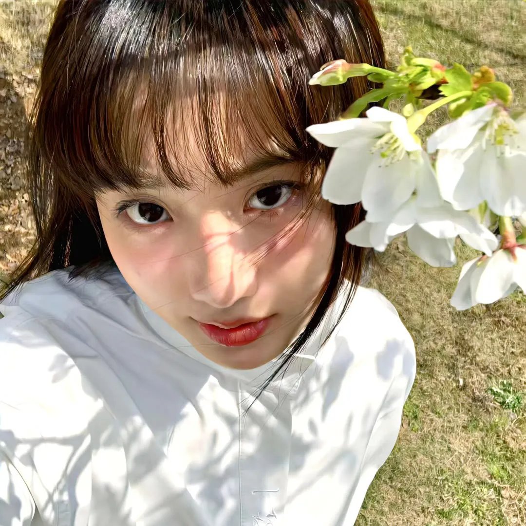 战火之花